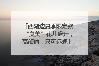 西湖边夏季限定款“臭美”花儿盛开，高颜值，只可远观