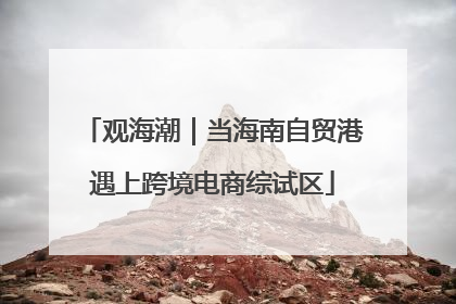 观海潮｜当海南自贸港遇上跨境电商综试区