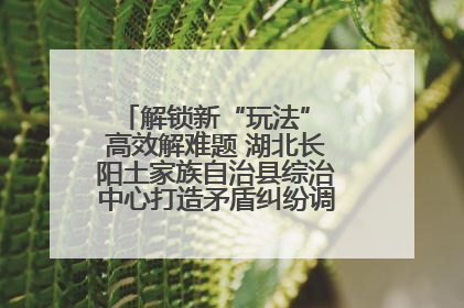 解锁新“玩法” 高效解难题 湖北长阳土家族自治县综治中心打造矛盾纠纷调处“终点站”