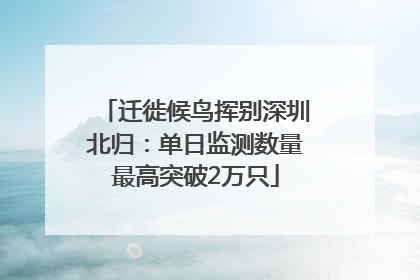 迁徙候鸟挥别深圳北归：单日监测数量最高突破2万只