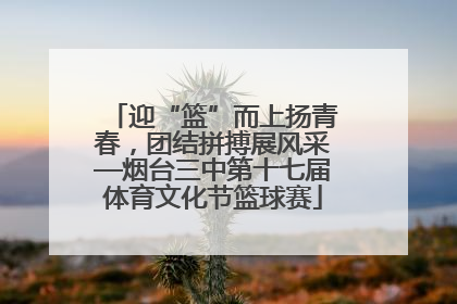迎“篮”而上扬青春，团结拼搏展风采—烟台三中第十七届体育文化节篮球赛