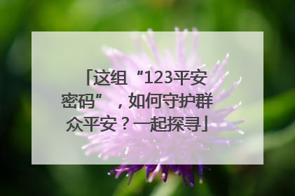 这组“123平安密码”，如何守护群众平安？一起探寻