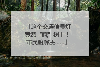这个交通信号灯竟然“藏”树上！市民盼解决……