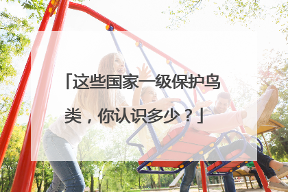这些国家一级保护鸟类，你认识多少？