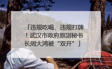 违规吃喝、违规打牌！武汉市政府原副秘书长周大鸿被“双开”