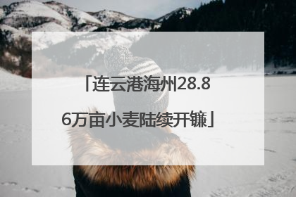 连云港海州28.86万亩小麦陆续开镰