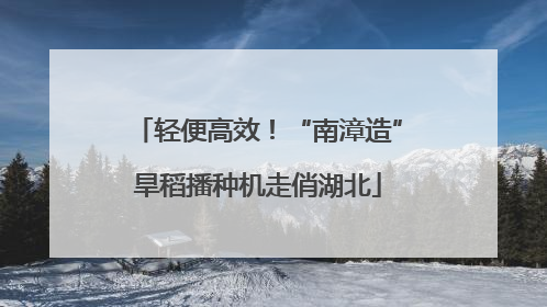 轻便高效！“南漳造”旱稻播种机走俏湖北