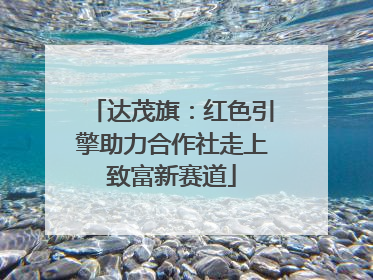 达茂旗：红色引擎助力合作社走上致富新赛道