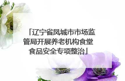 辽宁省凤城市市场监管局开展养老机构食堂食品安全专项整治