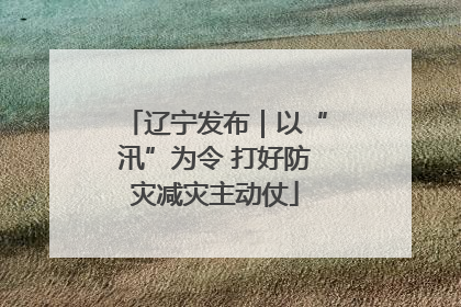 辽宁发布｜以“汛”为令 打好防灾减灾主动仗