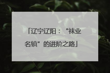 辽宁辽阳：“袜业名镇”的进阶之路
