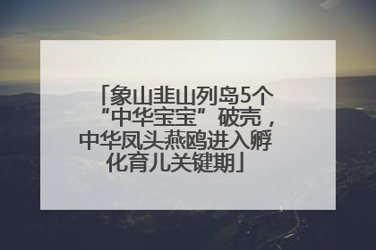 象山韭山列岛5个“中华宝宝”破壳，中华凤头燕鸥进入孵化育儿关键期