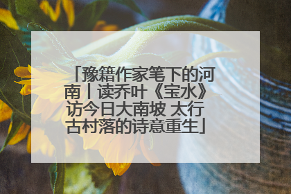 豫籍作家笔下的河南丨读乔叶《宝水》访今日大南坡 太行古村落的诗意重生