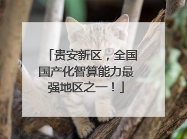 贵安新区，全国国产化智算能力最强地区之一！