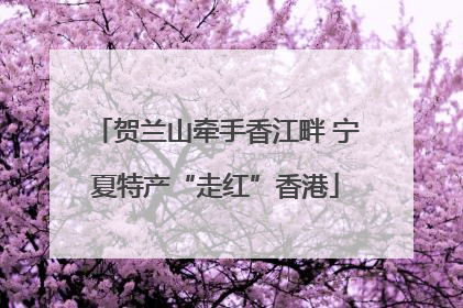 贺兰山牵手香江畔 宁夏特产“走红”香港