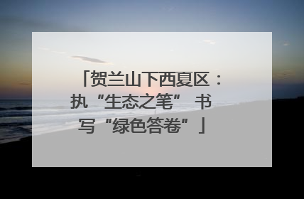 贺兰山下西夏区：执“生态之笔” 书写“绿色答卷”