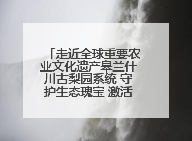走近全球重要农业文化遗产皋兰什川古梨园系统 守护生态瑰宝 激活发展动能