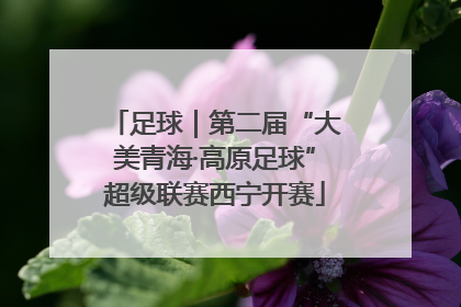 足球｜第二届“大美青海·高原足球”超级联赛西宁开赛
