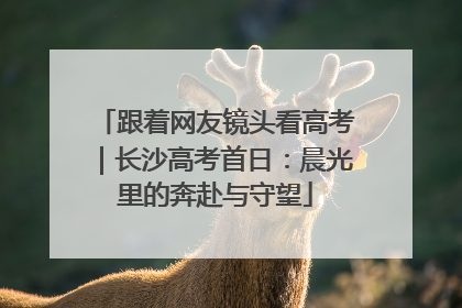 跟着网友镜头看高考｜长沙高考首日：晨光里的奔赴与守望