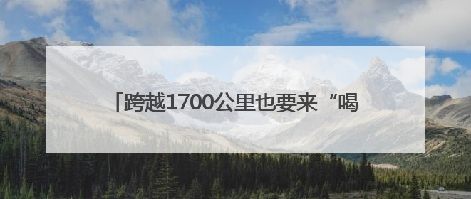 跨越1700公里也要来“喝茶”，这场“茶话会”让杭州与广元架起一条“共富之路”