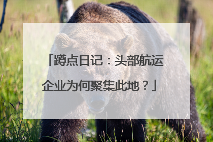 蹲点日记：头部航运企业为何聚集此地？