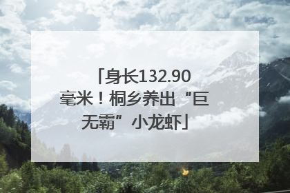 身长132.90毫米！桐乡养出“巨无霸”小龙虾