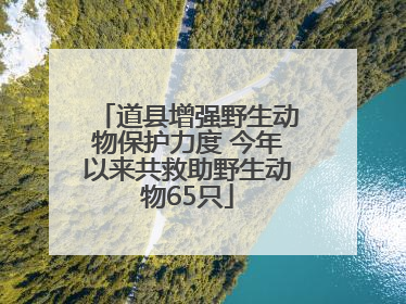 道县增强野生动物保护力度 今年以来共救助野生动物65只