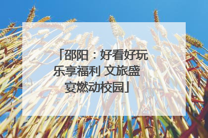 邵阳：好看好玩乐享福利 文旅盛宴燃动校园