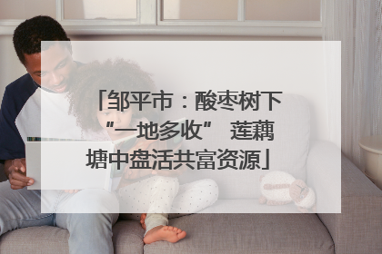 邹平市：酸枣树下“一地多收” 莲藕塘中盘活共富资源