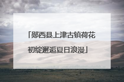 郧西县上津古镇荷花初绽邂逅夏日浪漫