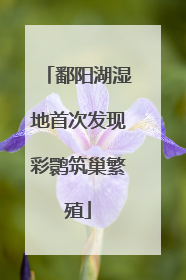 鄱阳湖湿地首次发现彩鹮筑巢繁殖
