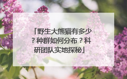 野生大熊猫有多少？种群如何分布？科研团队实地探秘