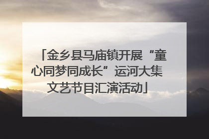金乡县马庙镇开展“童心同梦同成长”运河大集文艺节目汇演活动