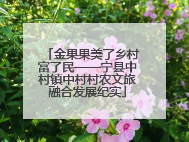 金果果美了乡村富了民——宁县中村镇中村村农文旅融合发展纪实