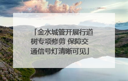 金水城管开展行道树专项修剪 保障交通信号灯清晰可见