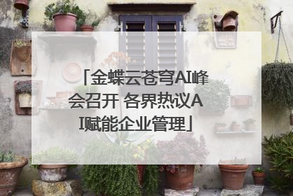 金蝶云苍穹AI峰会召开 各界热议AI赋能企业管理