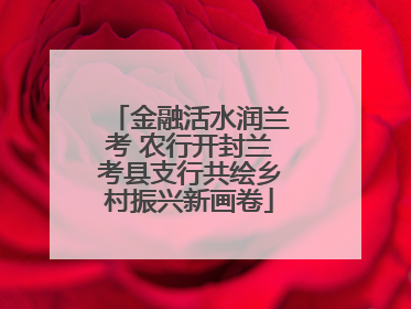 金融活水润兰考 农行开封兰考县支行共绘乡村振兴新画卷