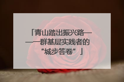 青山踏出振兴路——一群基层实践者的“城步答卷”