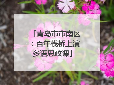 青岛市市南区：百年栈桥上演多语思政课