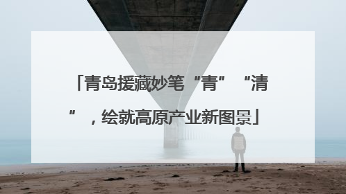 青岛援藏妙笔“青”“清”，绘就高原产业新图景