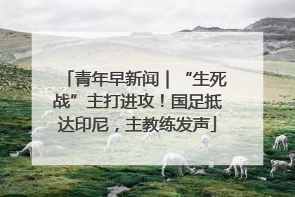青年早新闻｜“生死战”主打进攻！国足抵达印尼，主教练发声