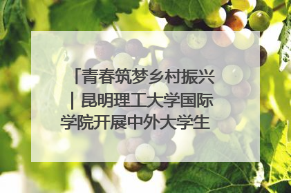 青春筑梦乡村振兴｜昆明理工大学国际学院开展中外大学生社会实践活动