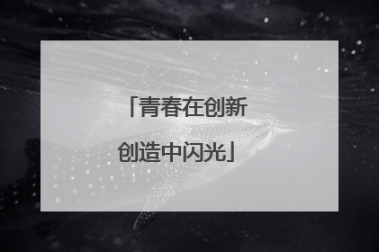 青春在创新创造中闪光