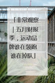 非常观察｜五月财报季，运动品牌谁在领跑谁在掉队