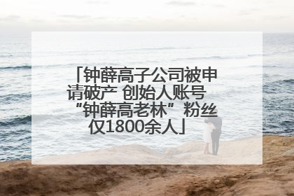 钟薛高子公司被申请破产 创始人账号“钟薛高老林”粉丝仅1800余人