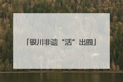 银川非遗“活”出圈