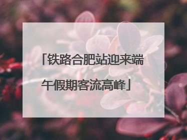 铁路合肥站迎来端午假期客流高峰