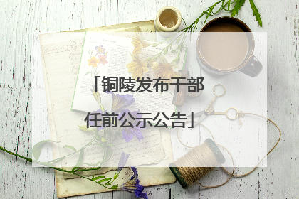 铜陵发布干部任前公示公告