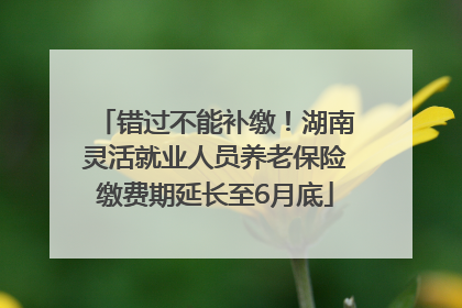 错过不能补缴！湖南灵活就业人员养老保险缴费期延长至6月底