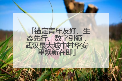 锚定青年友好、生态先行、数字引领，武汉最大城中村华安里焕新在即